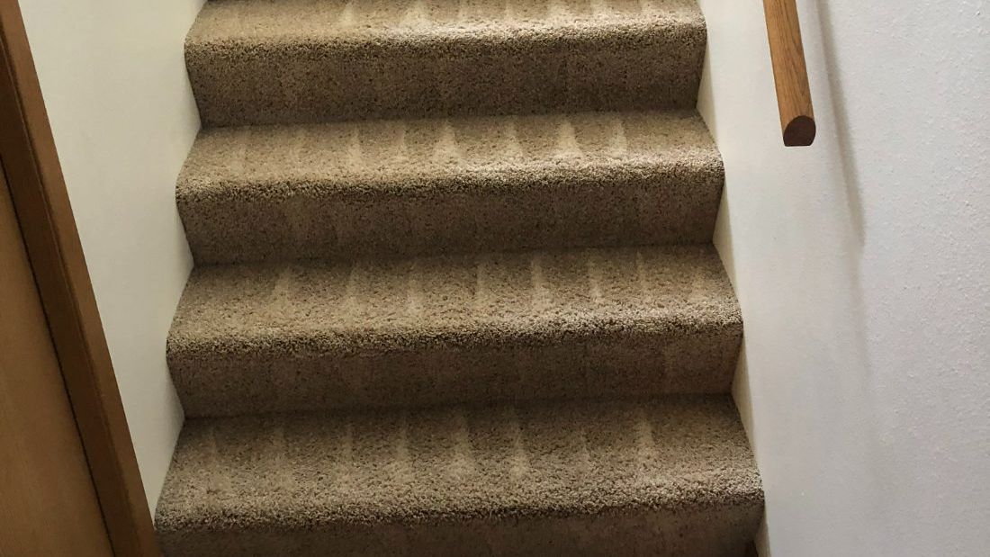 Freshly cleaned carpeted stairs in a home